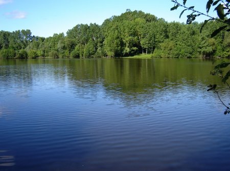 Le quatième étang des «Gravières».