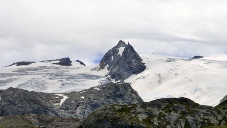 Glacier du Ruitor, Vedette