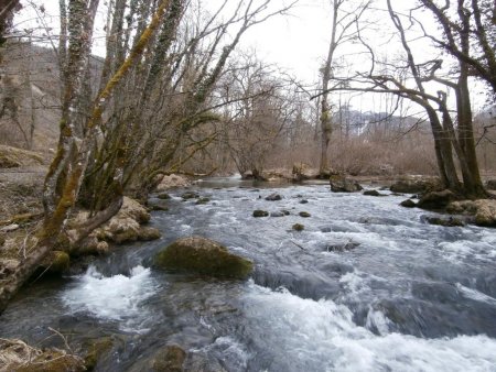 «L’eau de cette rivière, fofolle mais pas farouche» (Claude Nougaro)