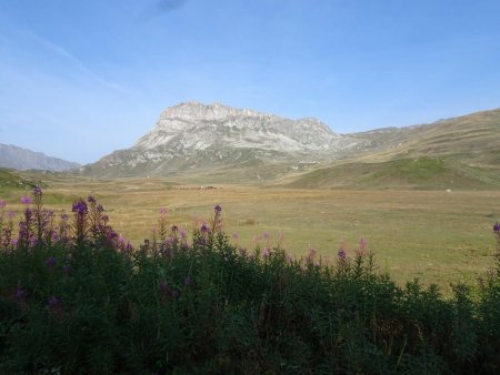 Plateau du Mont Cenis et Pointe de Bellecombe