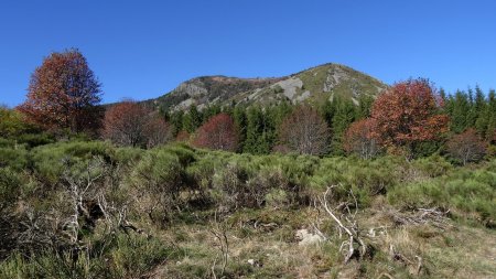 Face sud du mont Mézenc.