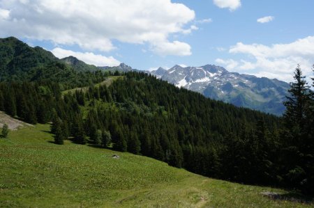 Au sommet de la montée, lieu-dit le Praillet (vue en direction du Puys Saint Gris)