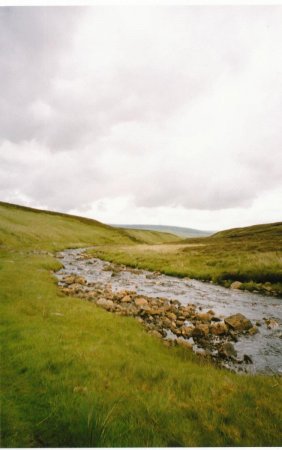 Trout Beck