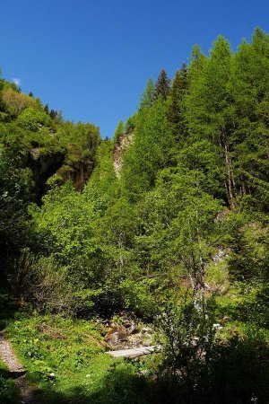 Passerelle sur le ruisseau de la Sachette pour entrer dans le bois de l’Ours.