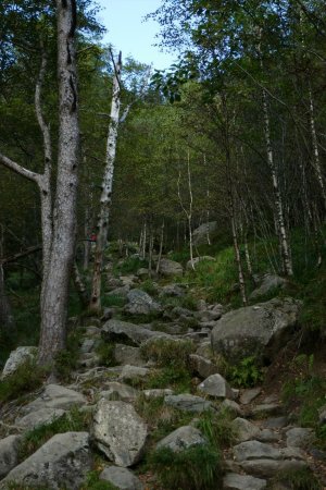 Le terrain chaotique de Skredderdalen.