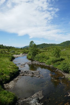 En traversant la rivière d’Holmavasselva.
