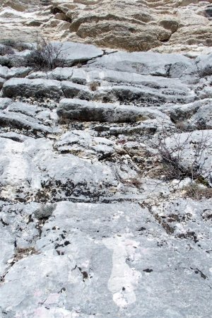La deuxième vire se trouve entre la roche grise et la roche jaune