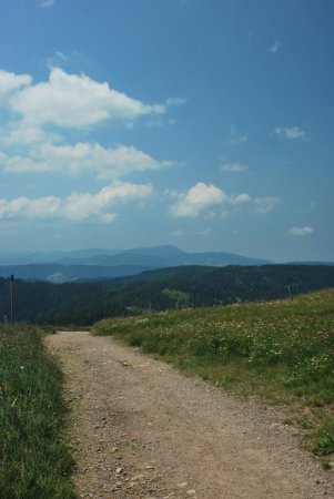 Au loin, le Belchen (1414m), quatrième plus haut sommet de la Forêt Noire