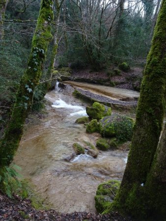 Ruisseau du Pontet