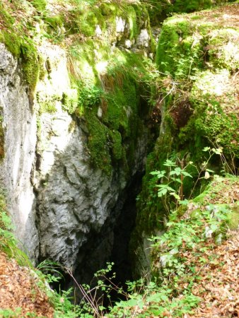 Orifice de grotte dans les lapiaz fréquemment rencontré dans la forêt