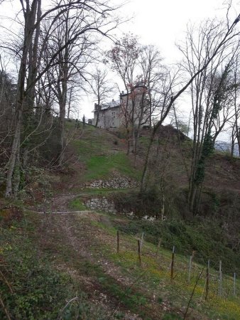 Montée vers le Château de Monterminod
