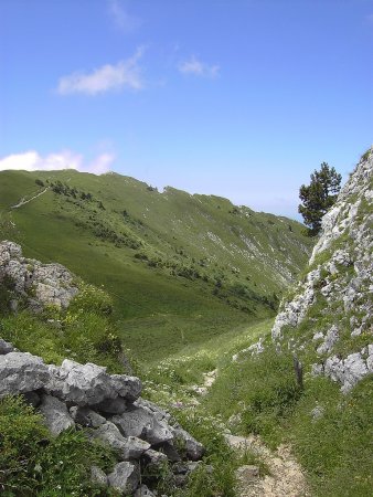 Le Col de Léchaud et les pentes herbeuses du Petit Som du passage des Roches Rousses.