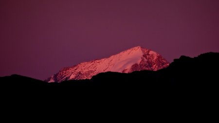 Le Mont Pourri teinté.