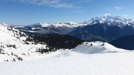 Descente face au Mont Blanc, vallon de Roche Plane