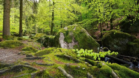 Gertelbach Wasserfälle : départ du sentier.