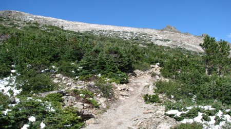 Le sentier prend de la hauteur et l’on atteint bientot la toundra alpine