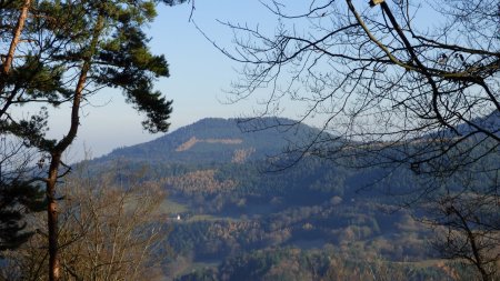 Sur le sentier de montée vers le sommet du Grand Faudé. Vue sur le sur le Vorhofkopf de Kaysersberg à travers les arbres.
