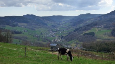 Vallon de Bois-Le-Sire avec les hameaux de Tannach et de la Basse Tannach.