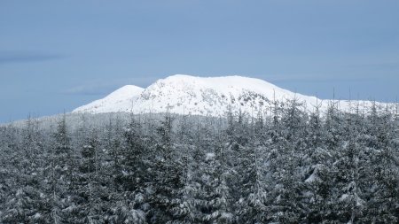 Le mont Mézenc.