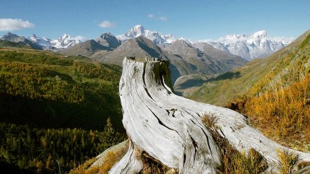 Point de vue vers le massif du Mont-Banc (avec tronc d’arbre).