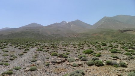 Plateau de Tarkedit