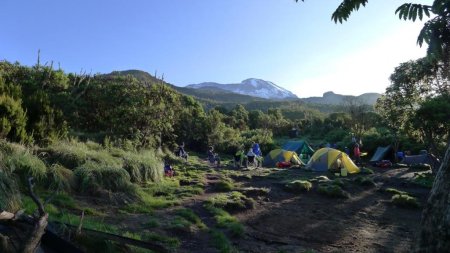 Vue sur le Kili depuis le camp Machame en matinée