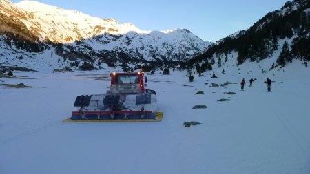 La dameuse sur les pistes de ski de fond