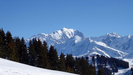 avec vue Mont Blanc, bien sur