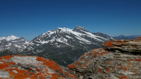 Dôme de la Sache et Mont Pourri vus du sommet.