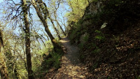 Sentier de descente du versant nord du Mont d’Orge.