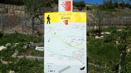 Panneau informatif du chemin du vignoble sur la commune de Savièse.