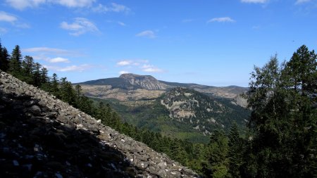Clapier du versant nord et Mont Mézenc.