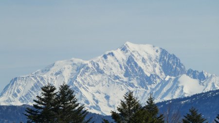 Zoom sur le Mont Blanc