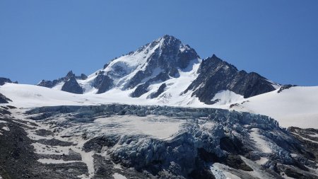 Glacier du Tour et Aiguille du Chardonnet.
