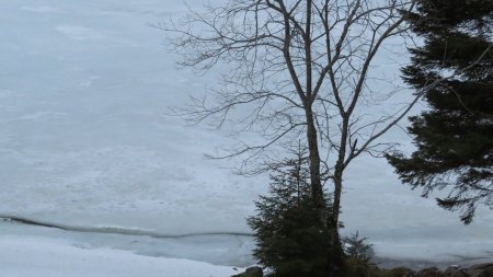 Zoom sur la rive sud du Lac du Forlet sous les glaces.