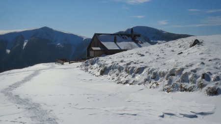 Le Kastelbergwasen devant mon duo favori (Rothenbachkopf et Rainkopf) en contre-jour. La neige brillait bien sur le bord de la route d’accès à la ferme auberge.