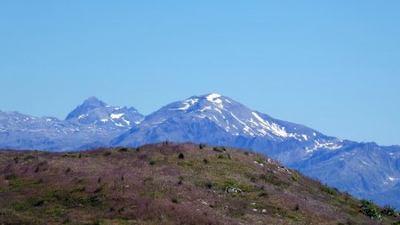 Dents du Midi, Mont Buet