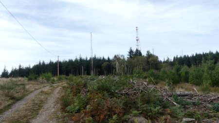 Antennes du bois des Loges (808m)