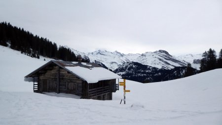  Au col du Pré, vue Mont Blanc