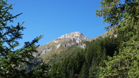 Première vue sur les sommets : Petit Mont Blanc