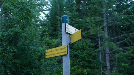 Le panneau au bord de la piste forestière marquant le début du sentier du Col du Merdaret.