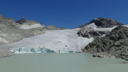 Pour se rapprocher un peu du front du glacier.