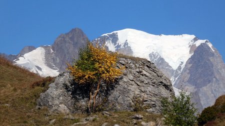 Aiguille des Glaciers, automne et Mont Blanc