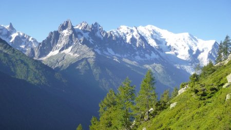 Les aiguilles et le Mont Blanc