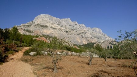 La magnifique Ste-Victoire, un des joyaux de la Provence