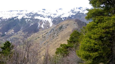 Au sommet du Piret (1469m) où la vue n’est pas très dégagée