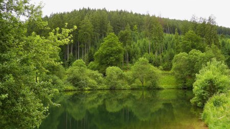 Märtesweiher, l’étang du Reichenbachtal.