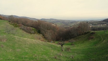 Vallée de la Durèze.