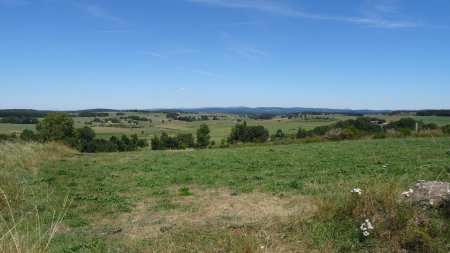 Le plateau côté vallée du Lignon.