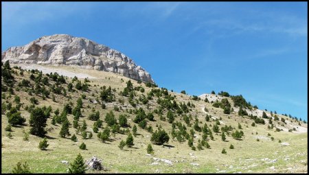 Sommet de la Montagnette vu de la Source de Grailler. Le Pas de la Coche est peu visible à droite. Le petit col là haut est accessible.